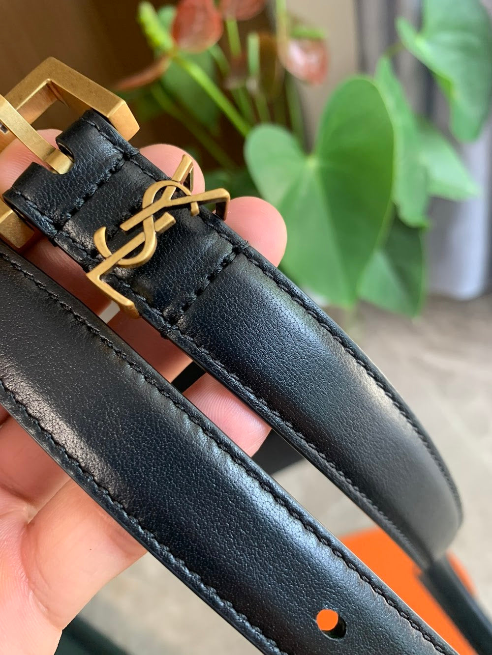 Dragons Bags YSLn Luxury Belt --110367