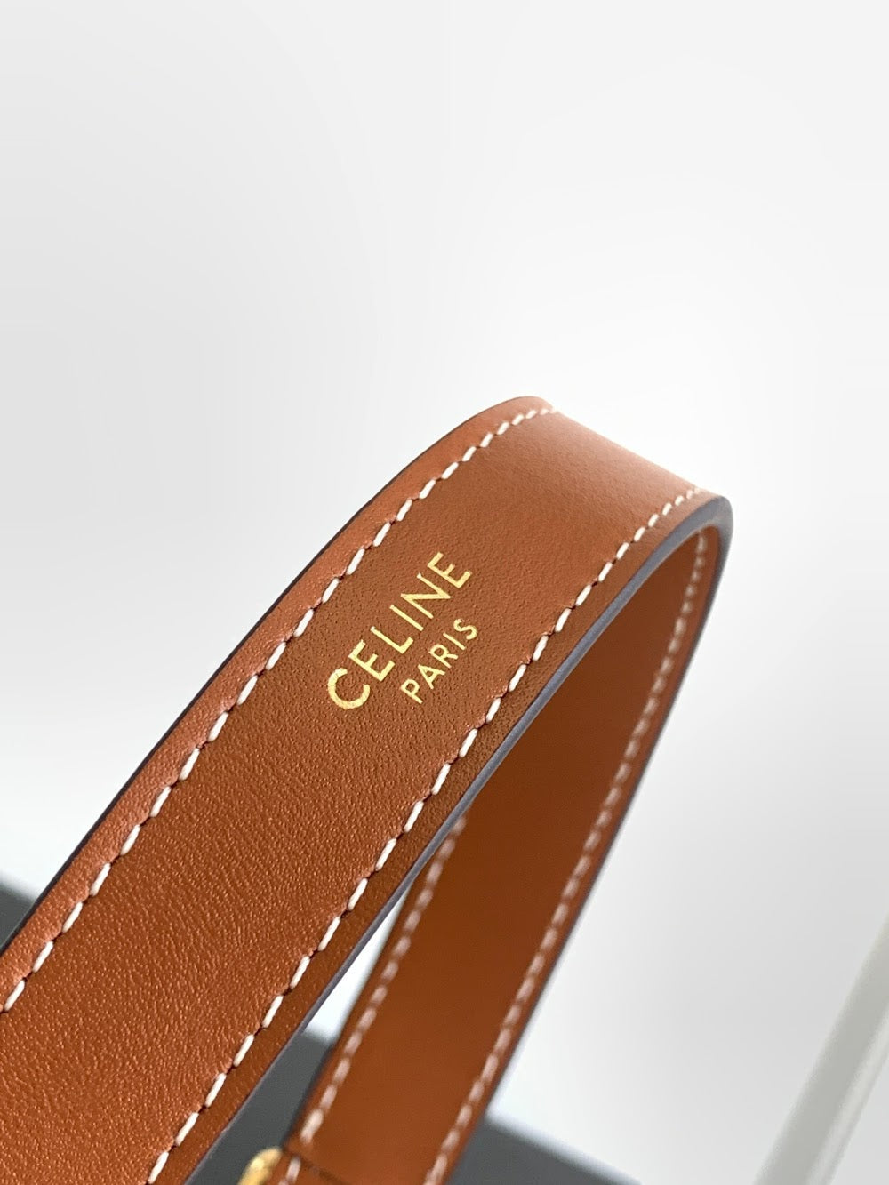 Dragons Bags Celine Luxury Bag --112112