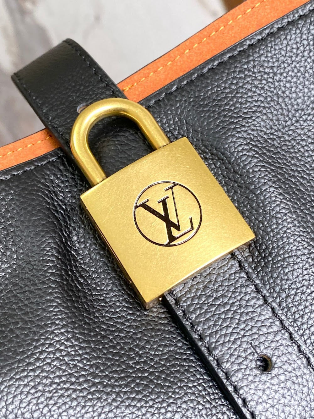 Dragons Bags LVn Luxury Bag --80934