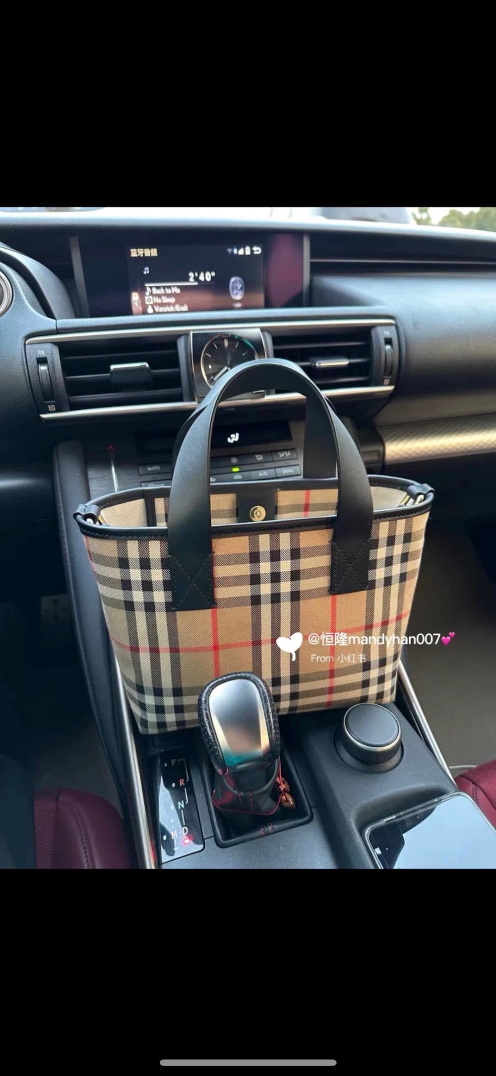 Dragons Bags Burberryn Luxury Bag --92536