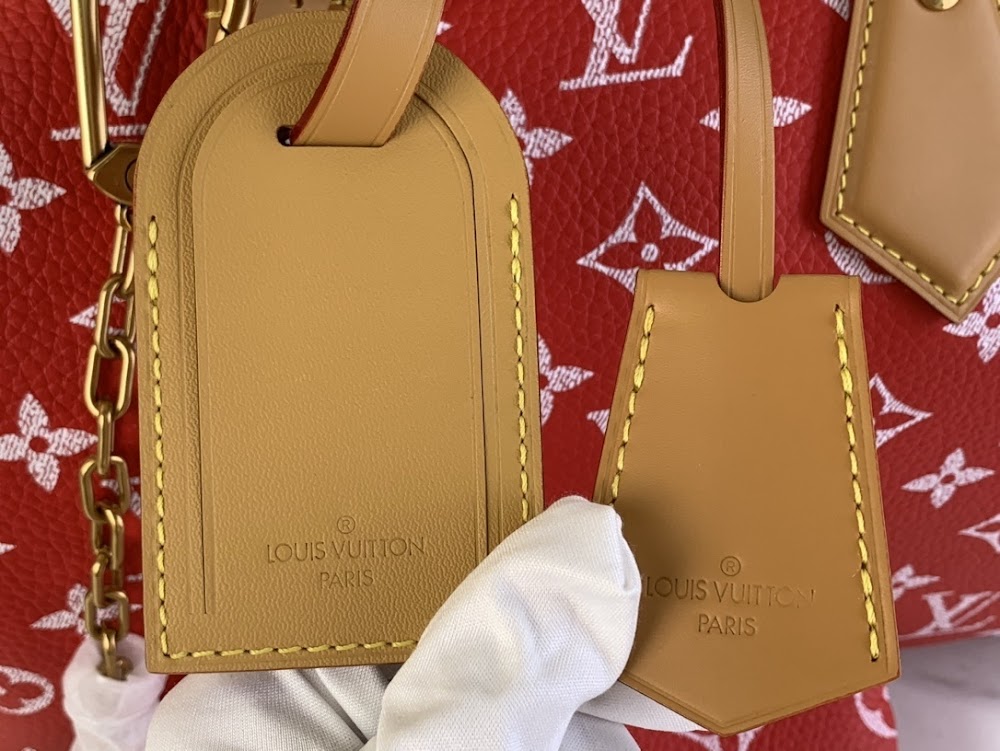 Dragons Bags ln Luxury Bag --62652