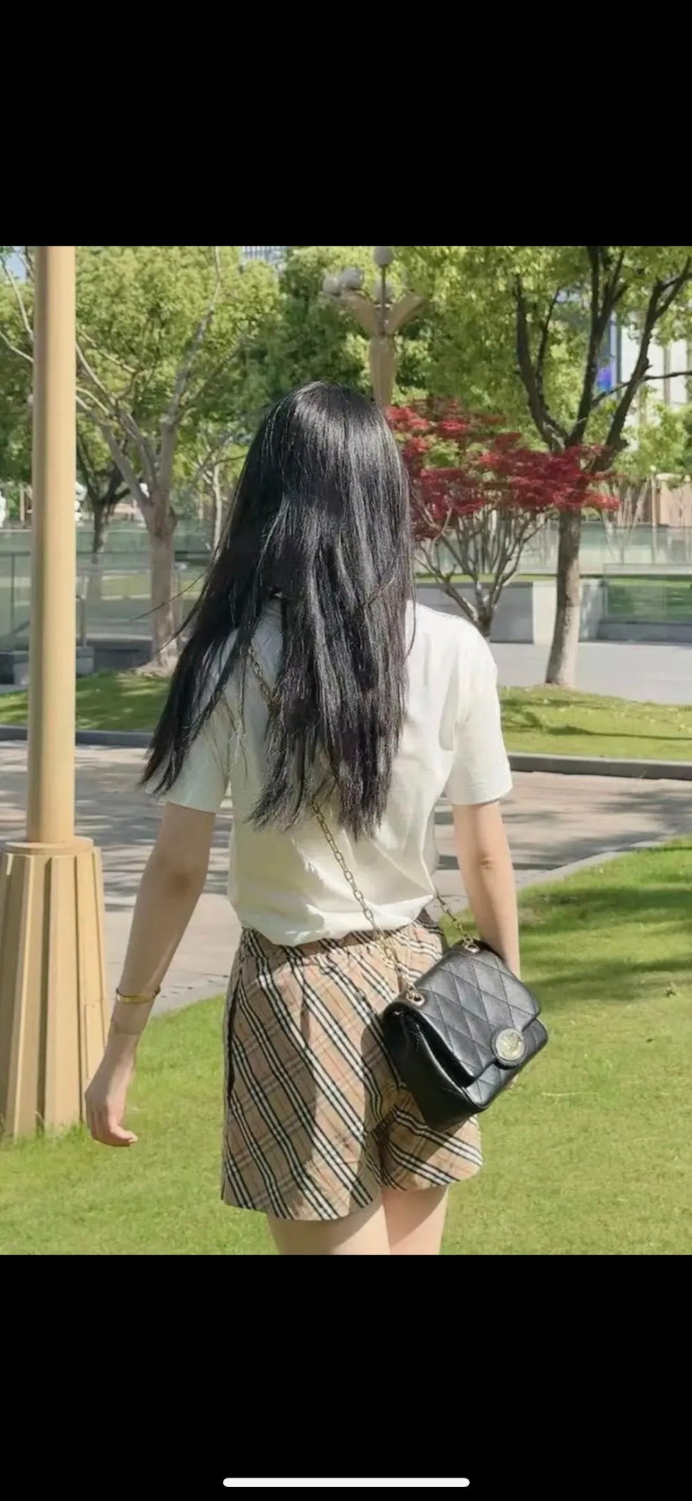 Dragons Bags Burberryn Luxury Bag --92261