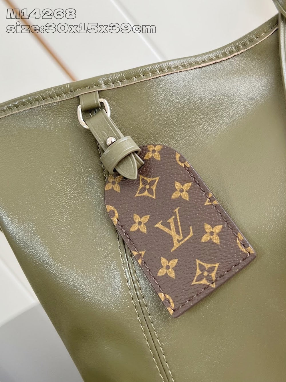 Dragons Bags ln Luxury Bag --96976
