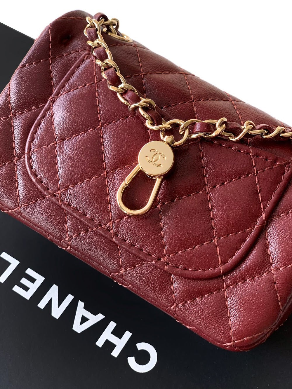 Dragons Bags CHn Luxury Bag --112668