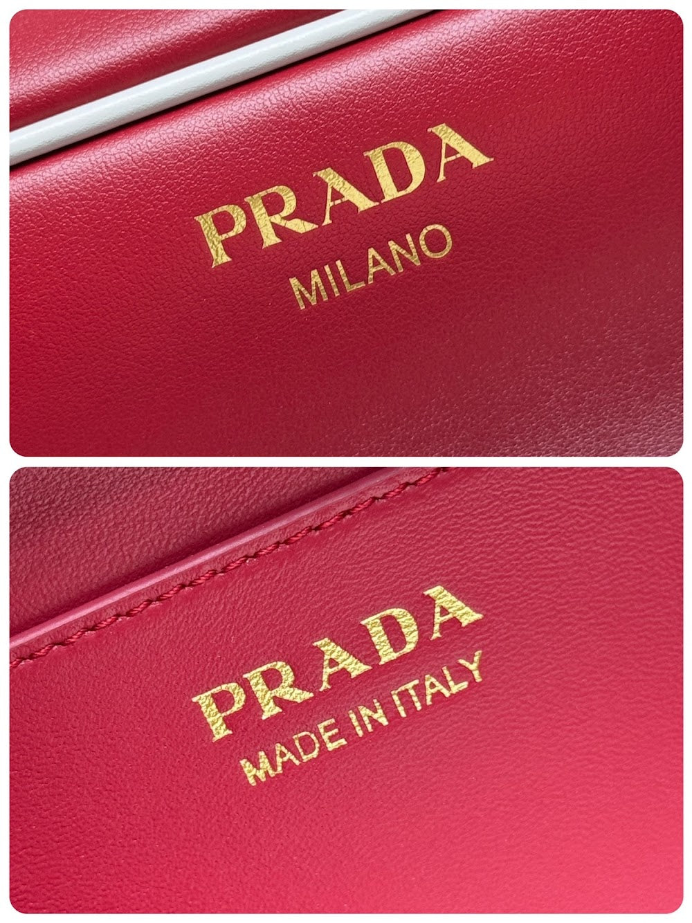 Dragons Bags Pradn Luxury Bag --102210