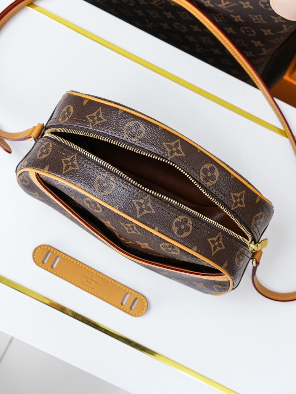 Dragons Bags ln Luxury Bag --81753