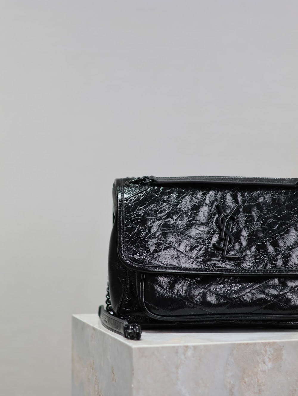 Dragons Bags YSLn Luxury Bag --119317
