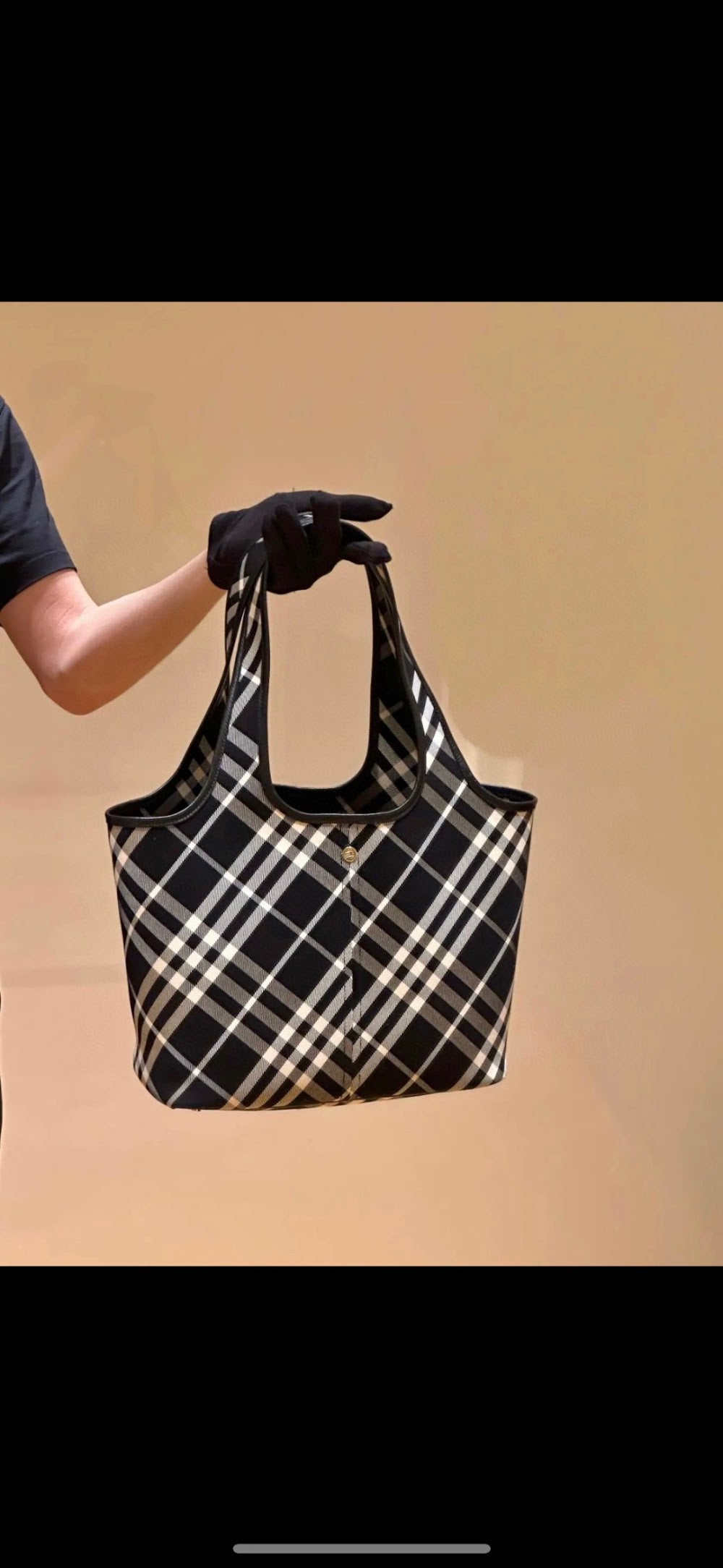 Dragons Bags Burberryn Luxury Bag --91824