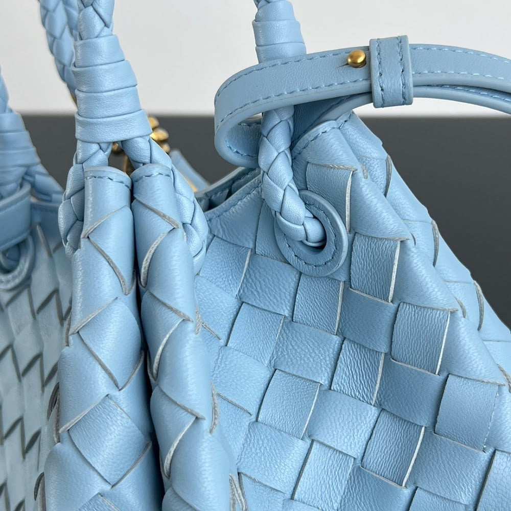 Dragons Bags Bottegan Luxury Bag --91272