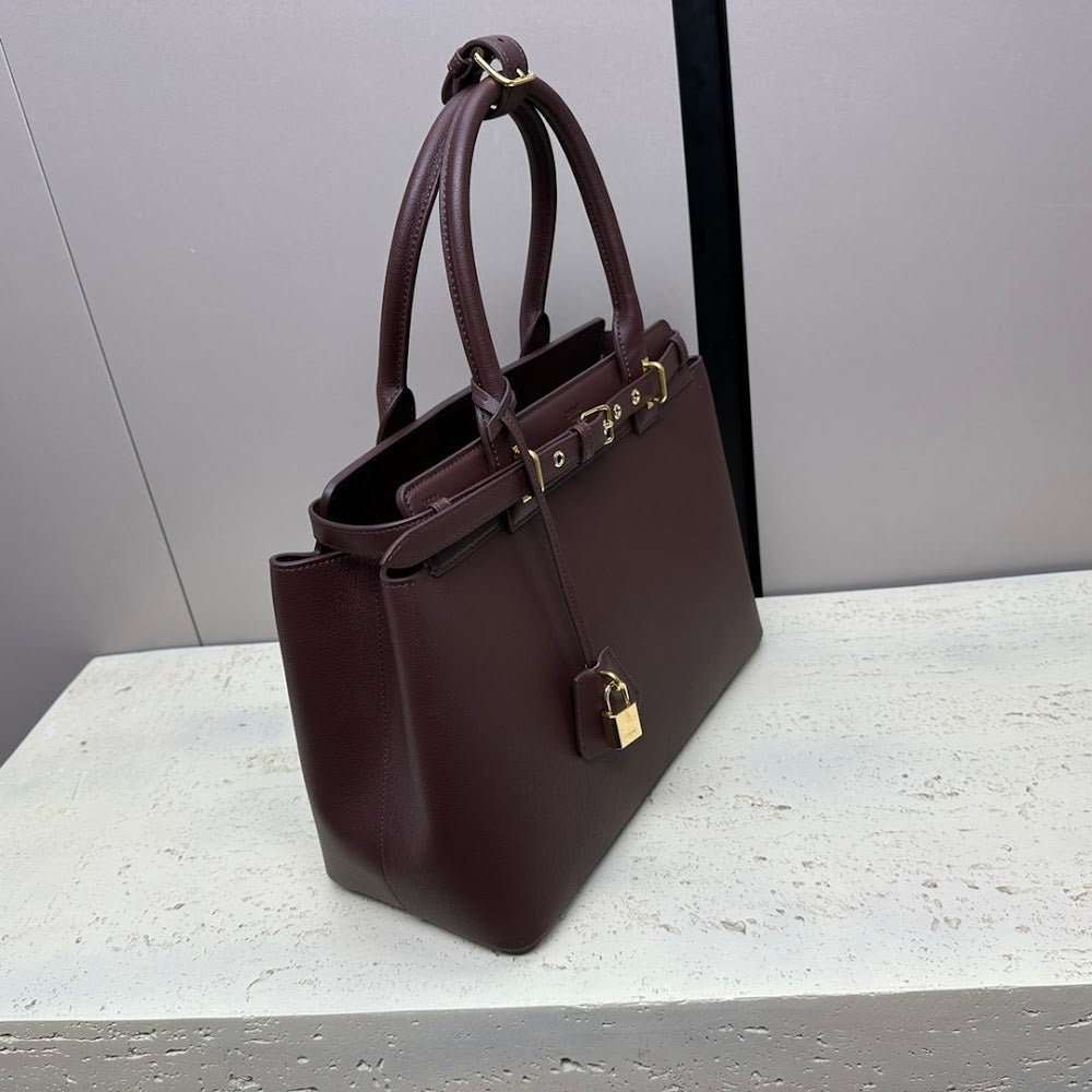 Dragons Bags Celine Luxury Bag --112493
