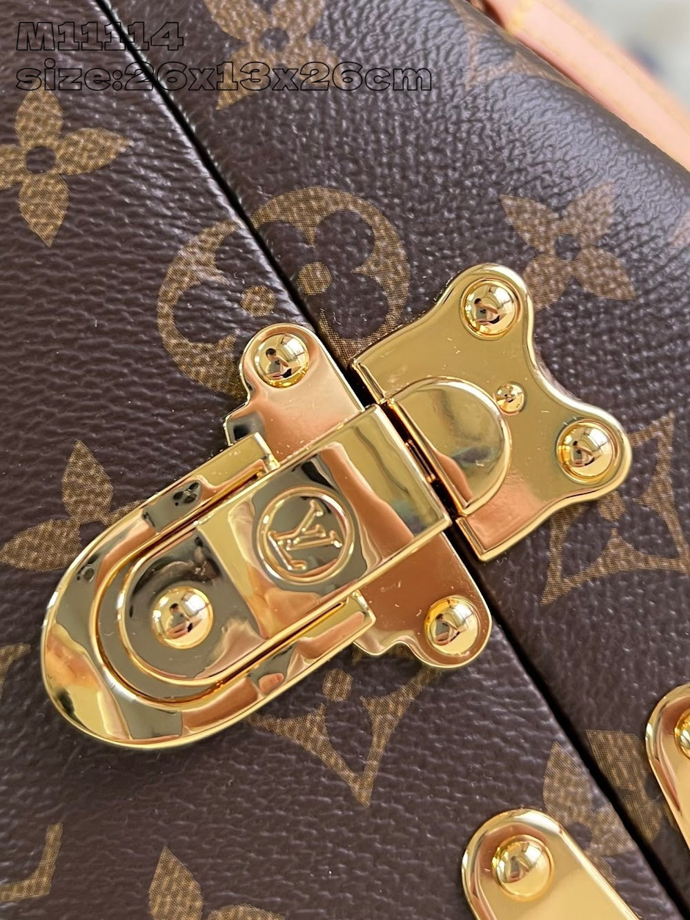 Dragons Bags ln Luxury Bag --96688