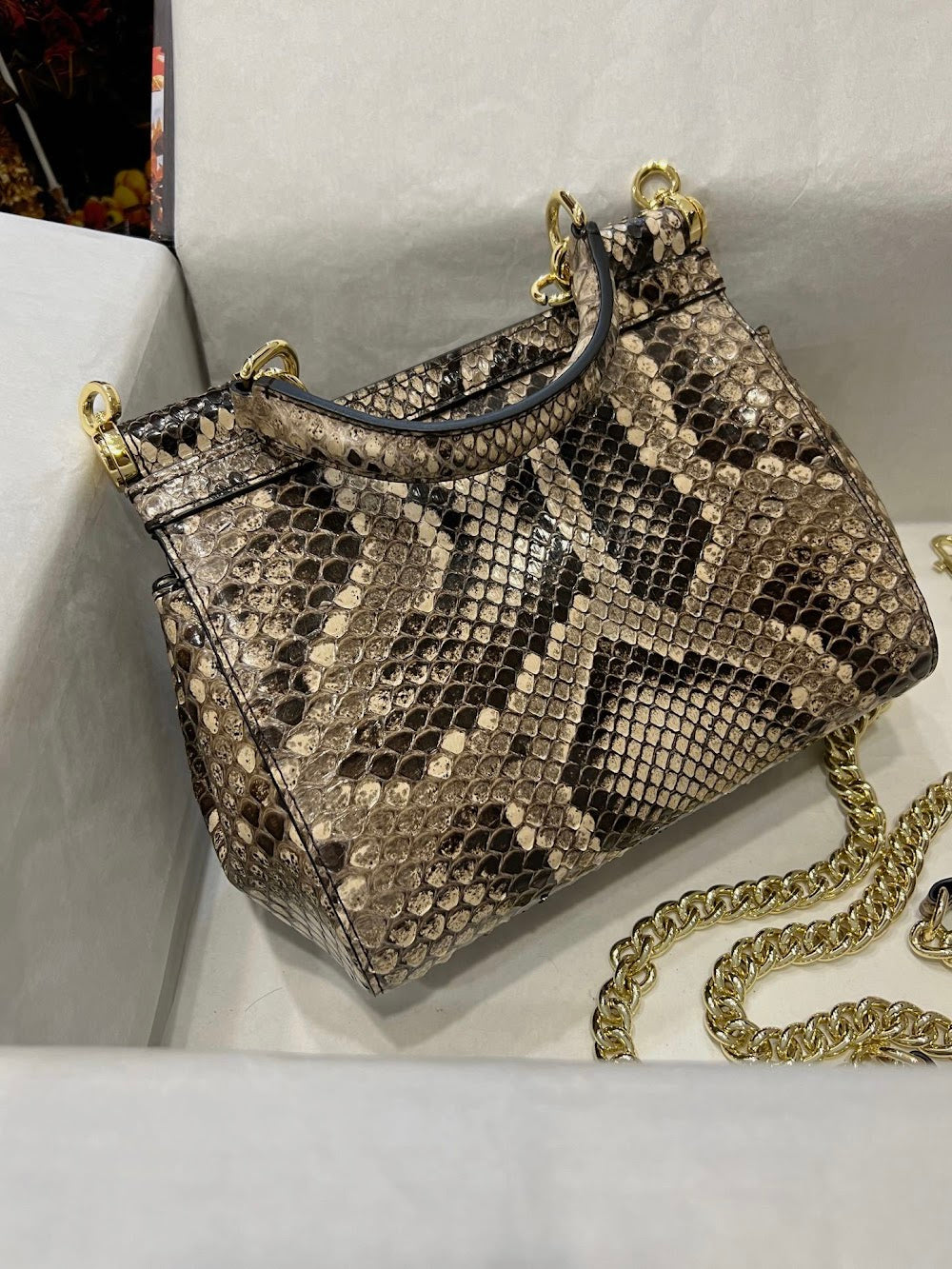 Dragons Bags DGn Luxury Bag --93287