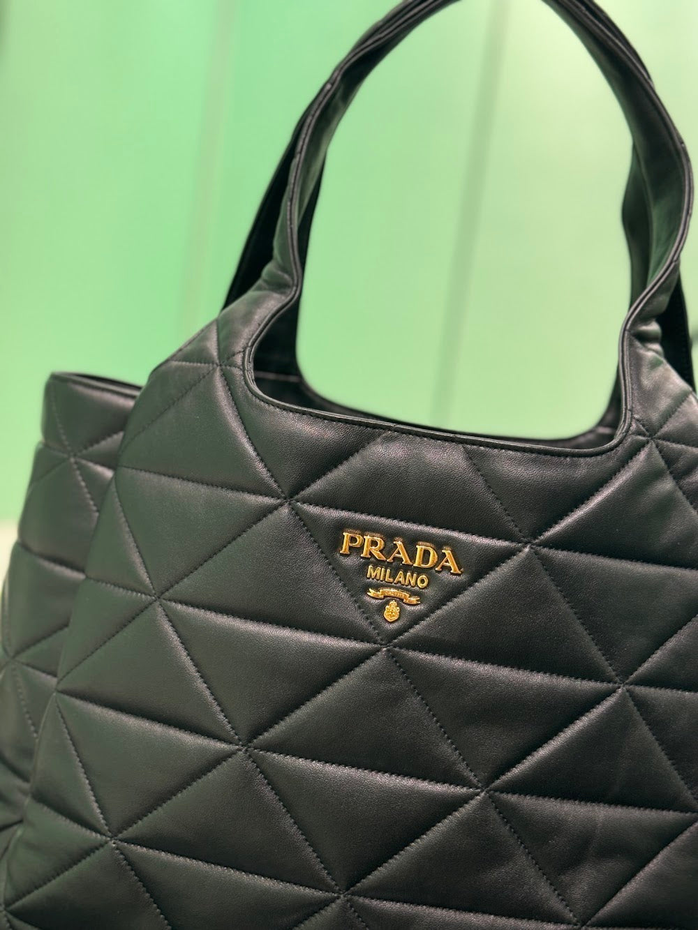 Dragons Bags Pradn Luxury Bag --102749