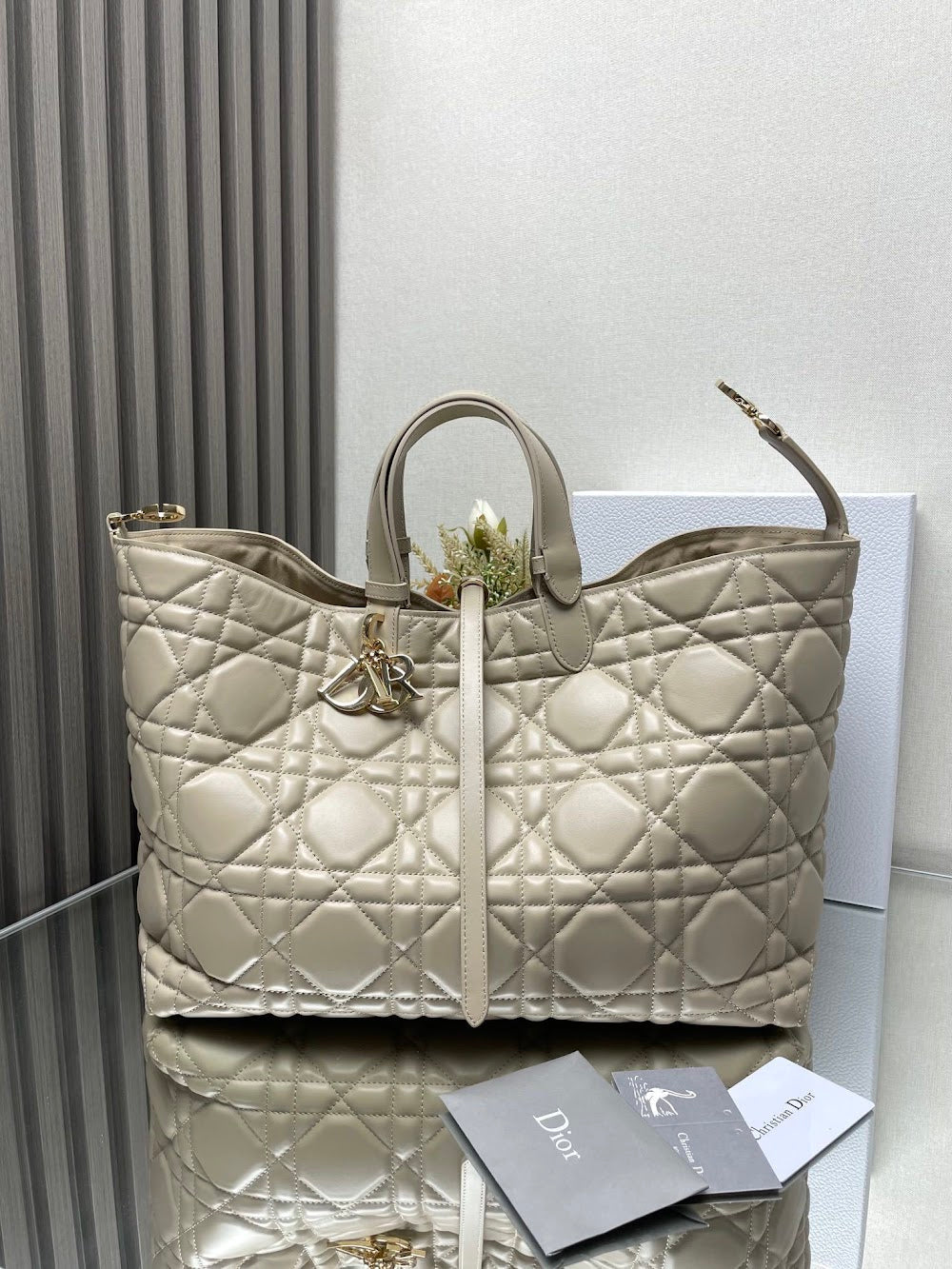Dragons BagsDiorn Luxury Bag --116433