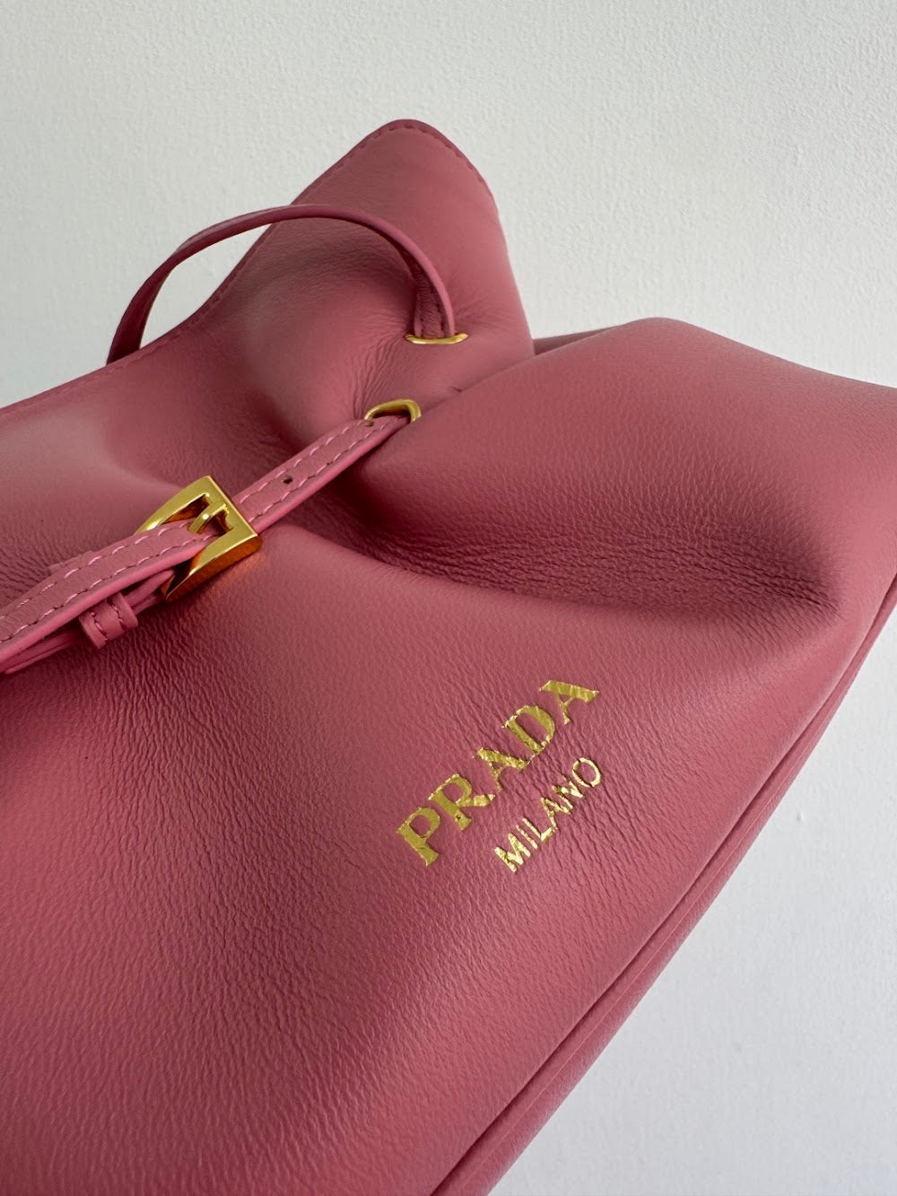 Dragons Bags Pradn Luxury Bag --101583