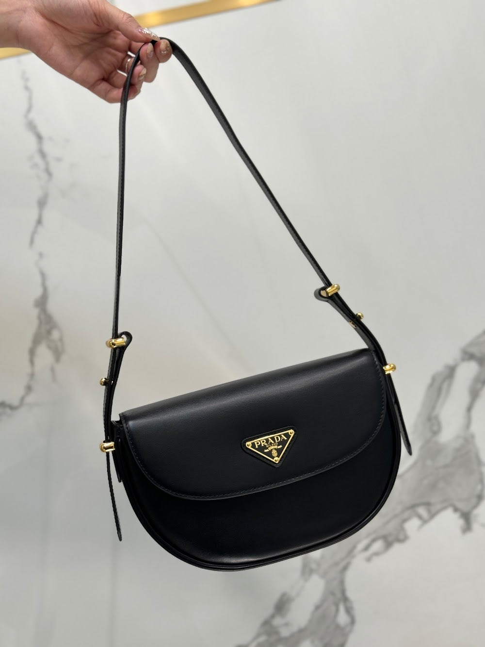 Dragons Bags Pradn Luxury Bag --102090