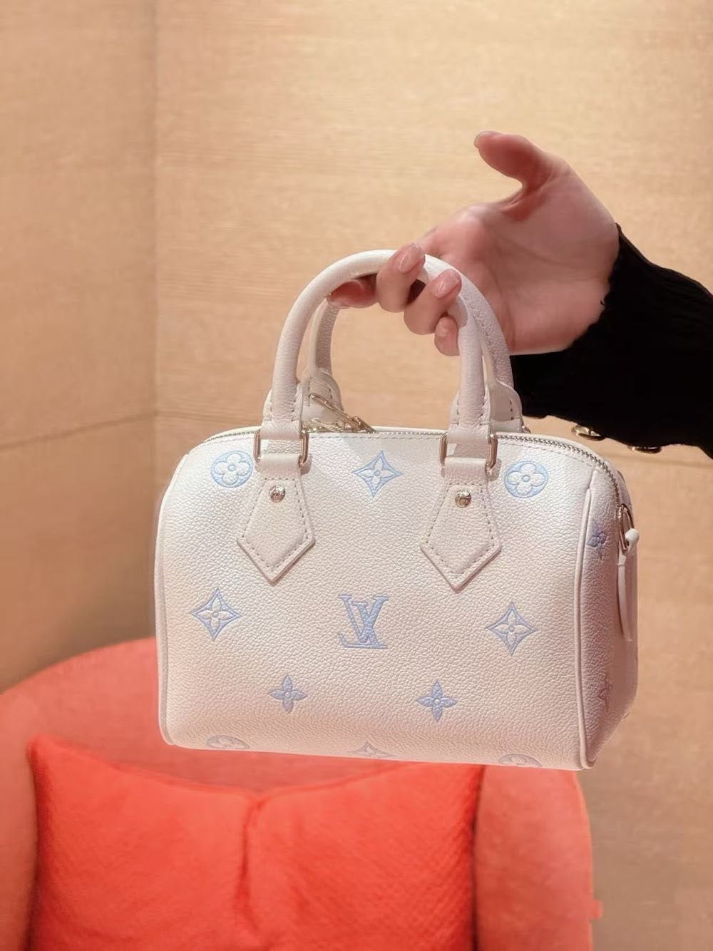 Dragons Bags ln Luxury Bag --95874