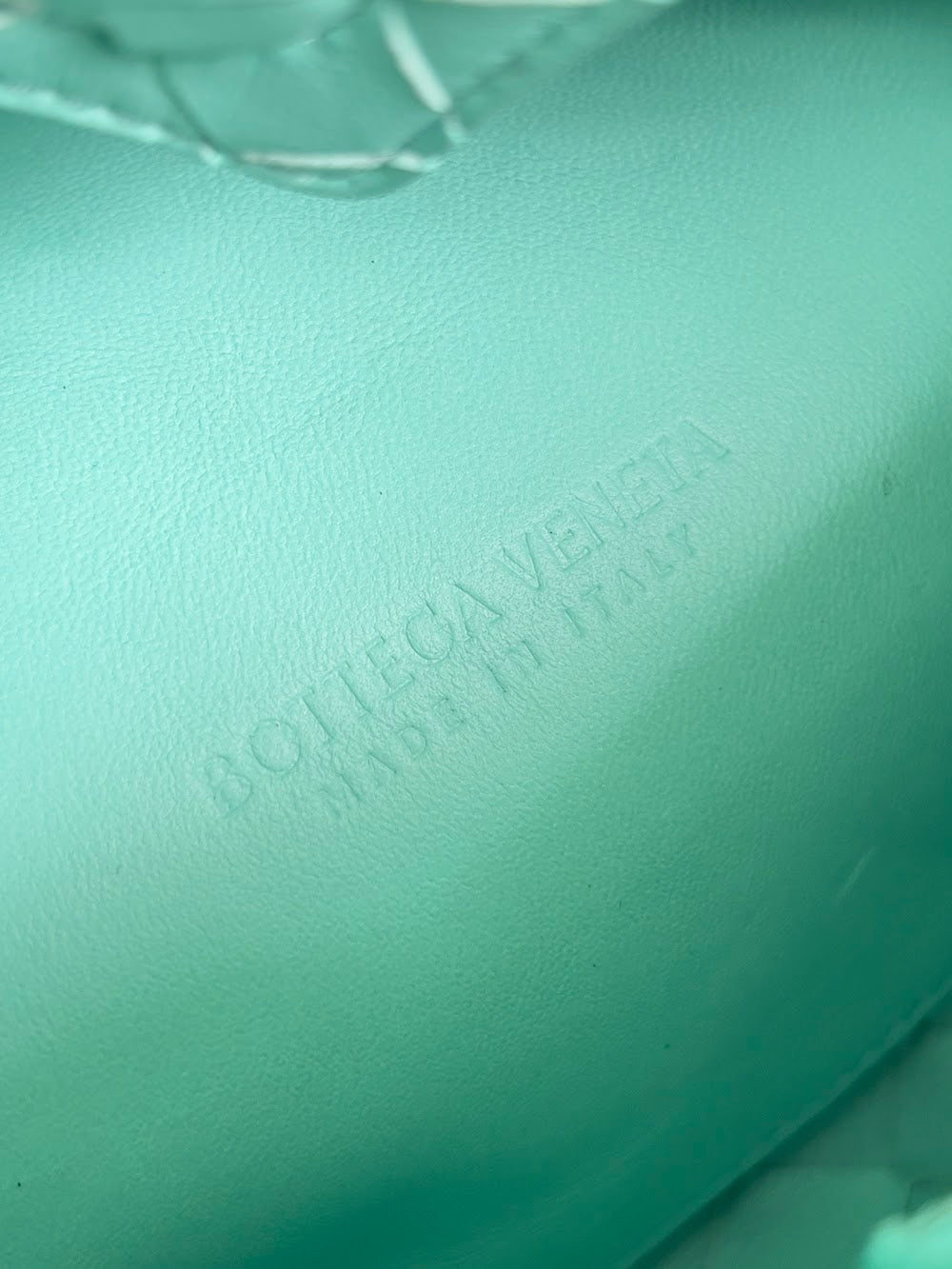 Dragons Bags Bottegan Luxury Bag --91083