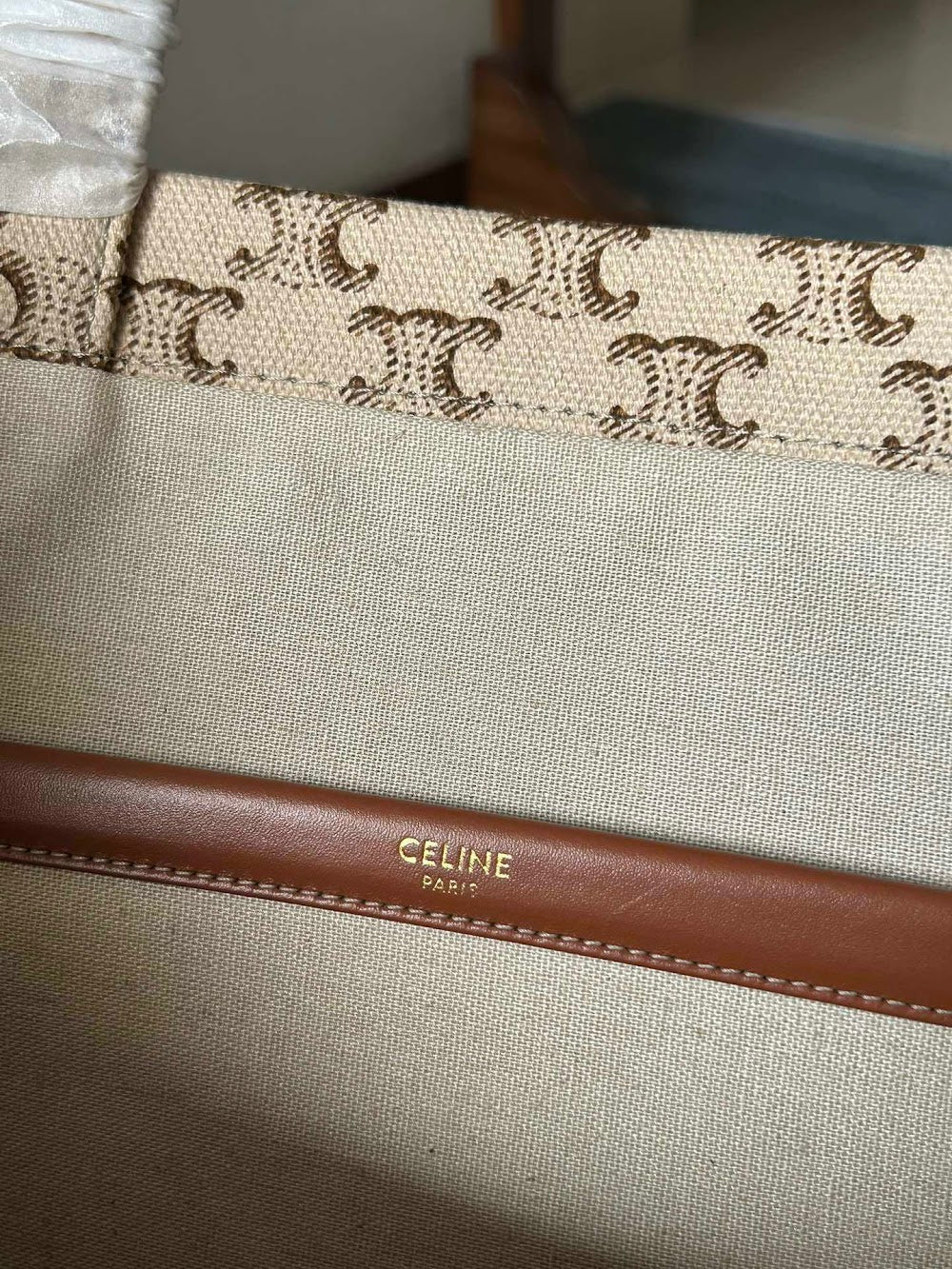 Dragons Bags Celine Luxury Bag --112218