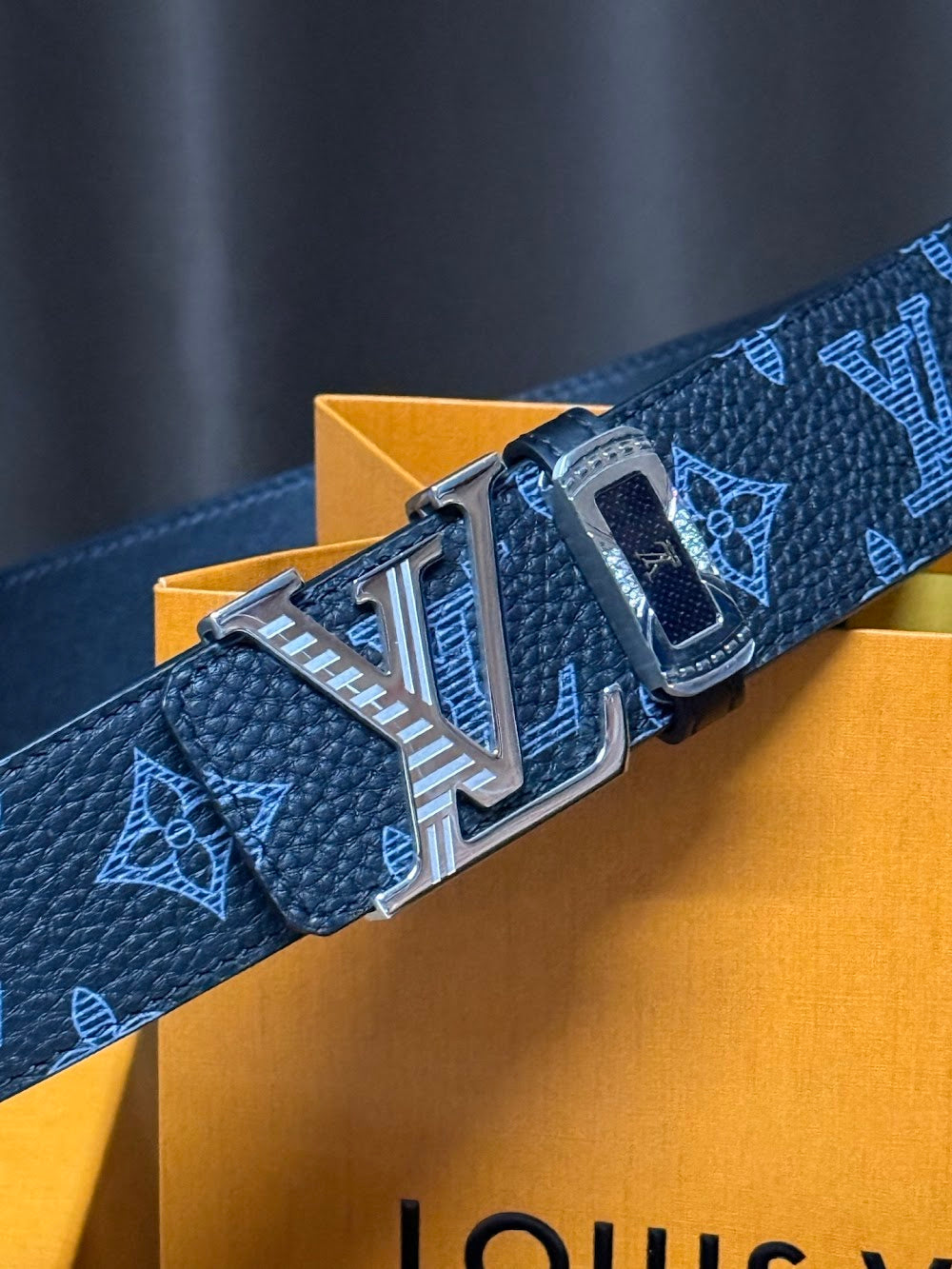 Dragons Bags ln Luxury Belt --110061