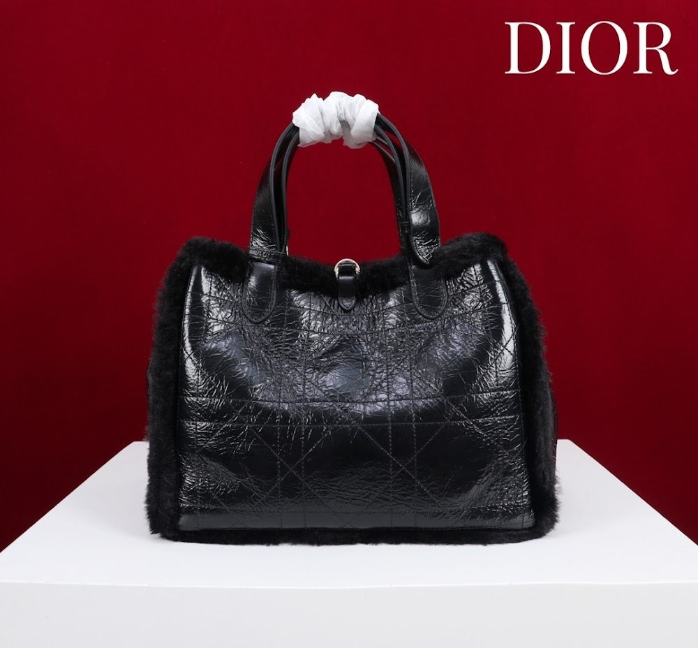 Dragons BagsDiorn Luxury Bag --116119