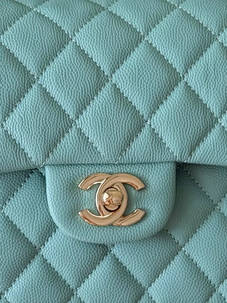 Dragons BagsCHn Luxury Bag --113834