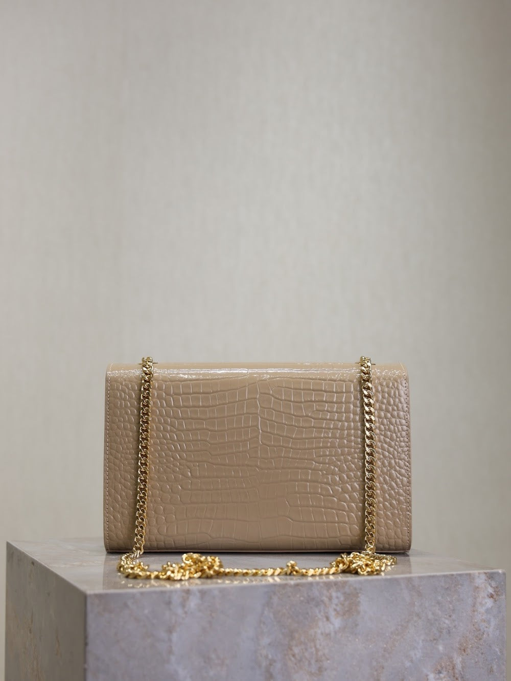 Dragons Bags YSLn Luxury Bag --119160