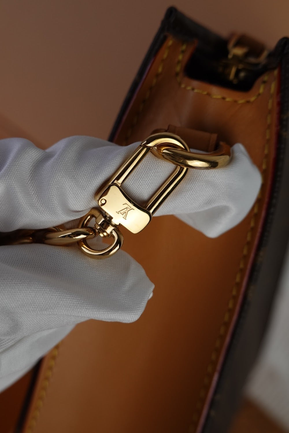 Dragons Bags ln Luxury Bag --61315