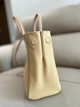 new-elite-designer-bags-nm5794