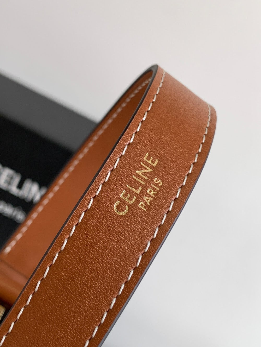 Dragons Bags Celine Luxury Bag --112111