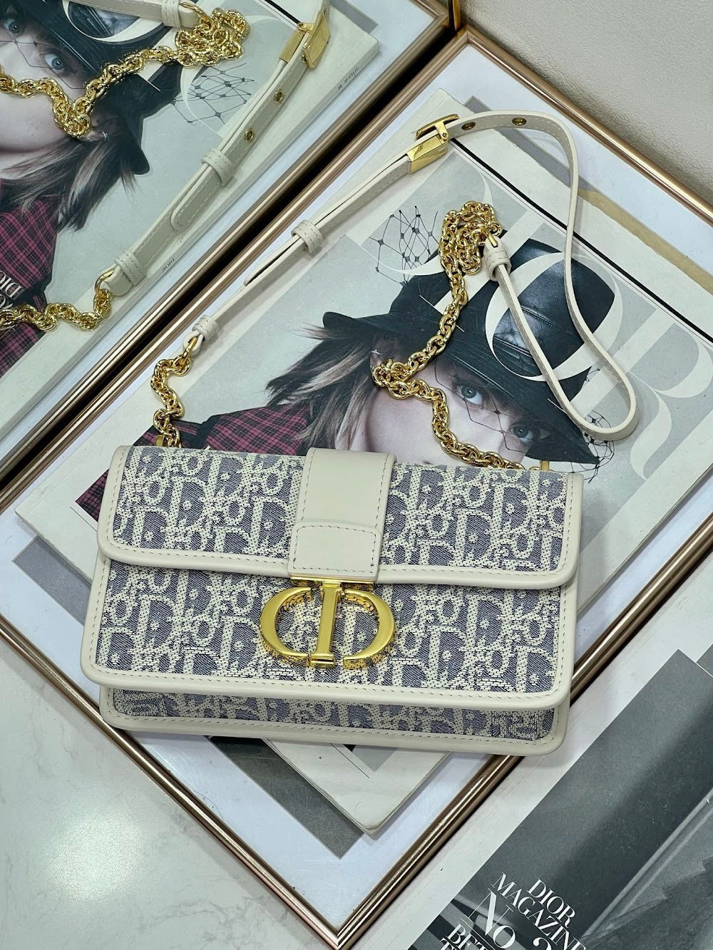 Dragons BagsDiorn Luxury Bag --116179