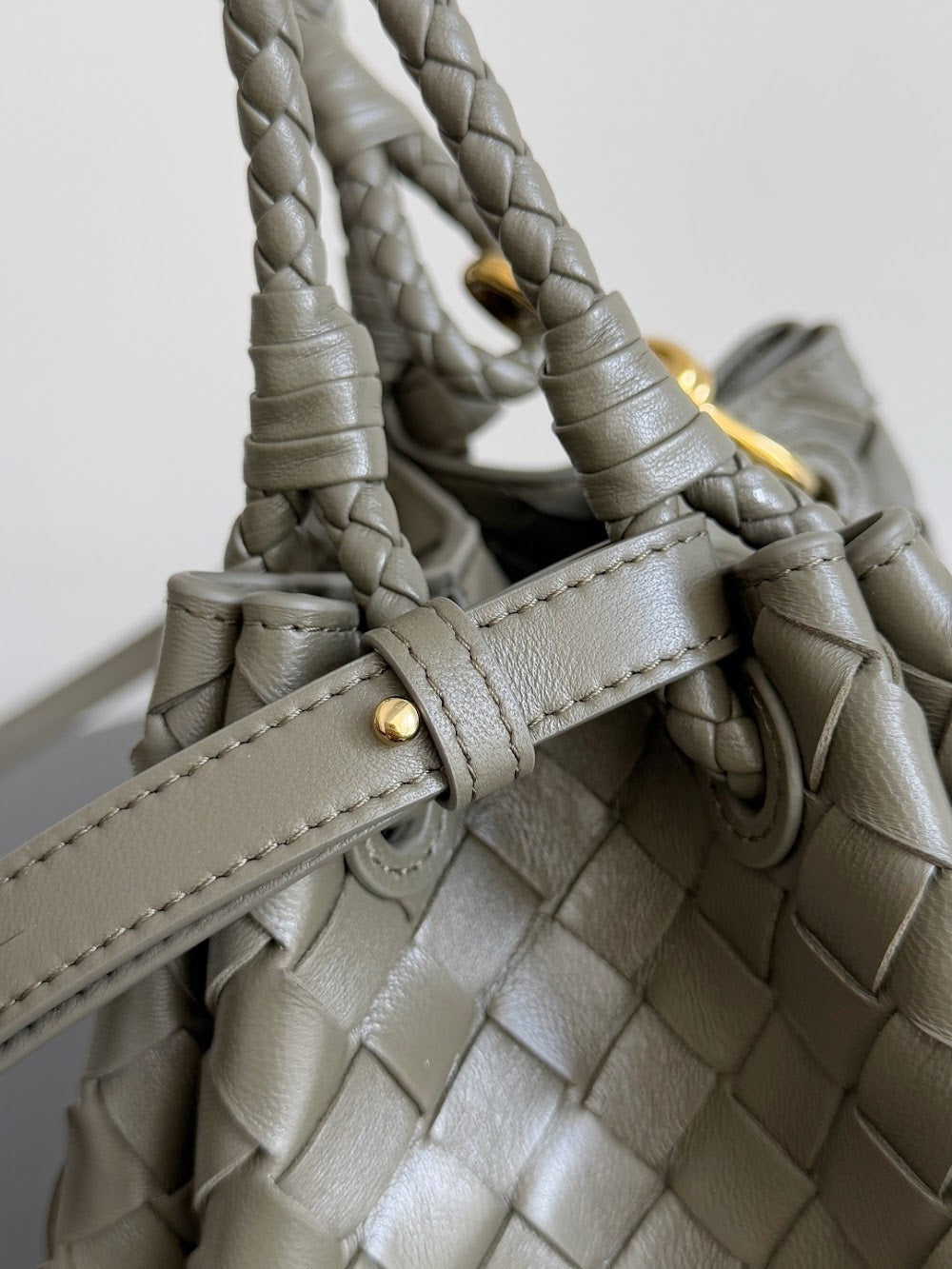 Dragons Bags Bottegan Luxury Bag --90471