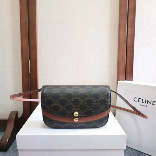 Dragons Bags Celine Luxury Bag --112540