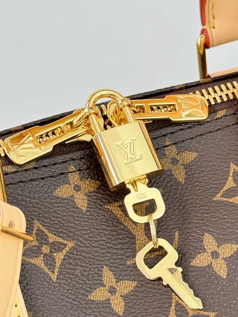 Dragons Bags ln Luxury Bag --96816