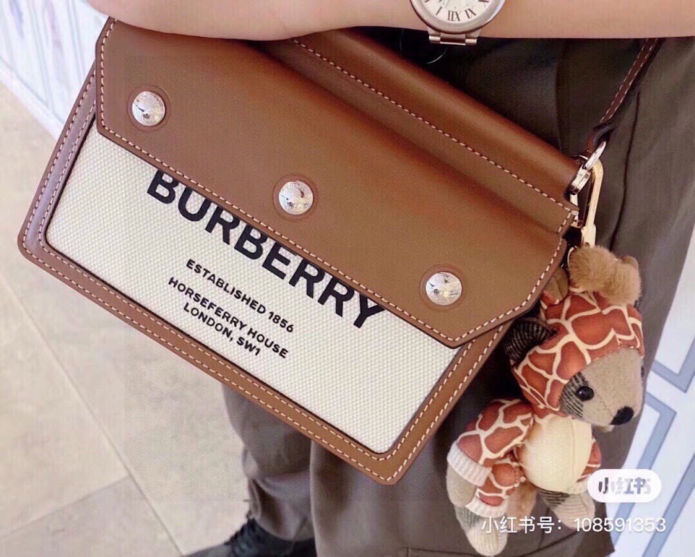 Dragons Bags Burberryn Luxury Bag --91702
