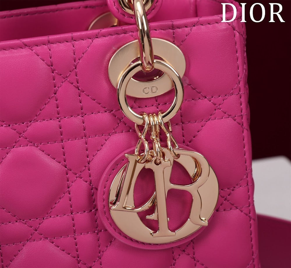 Dragons BagsDiorn Luxury Bag --115913