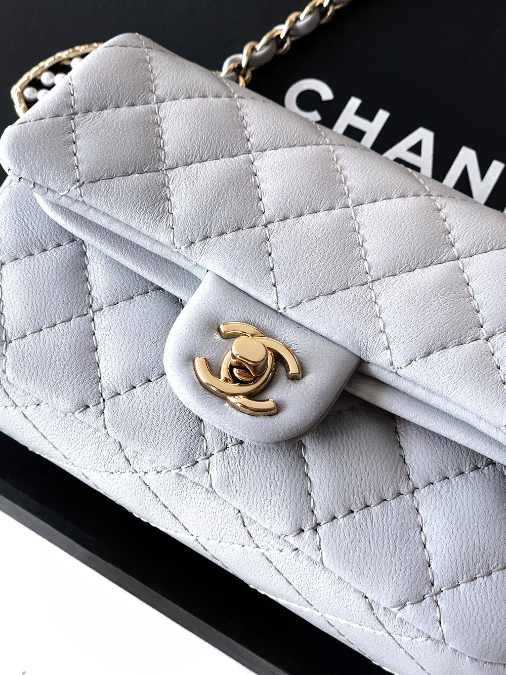 Dragons Bags CHn Luxury Bag --112669