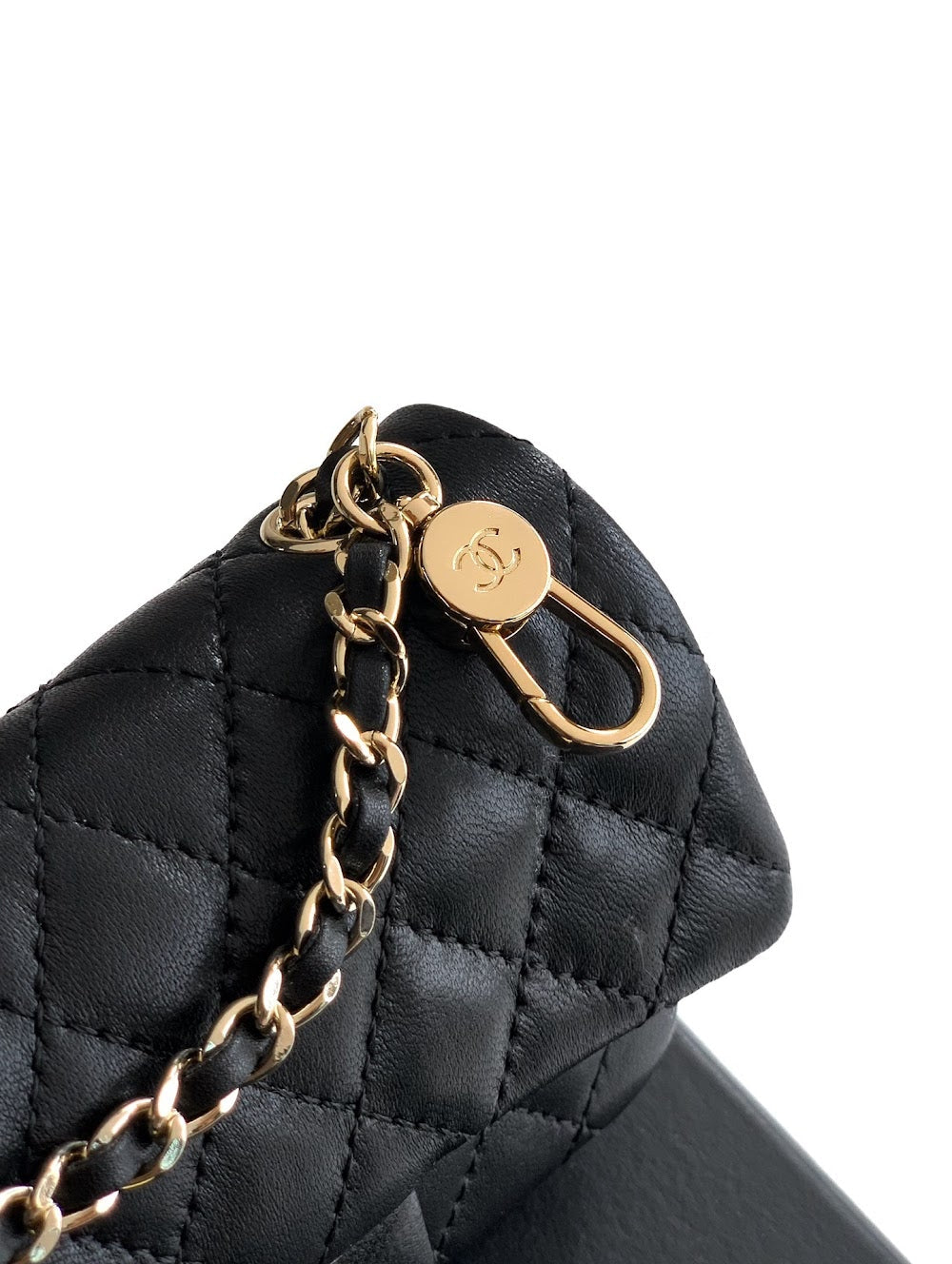 Dragons Bags CHn Luxury Bag --112665