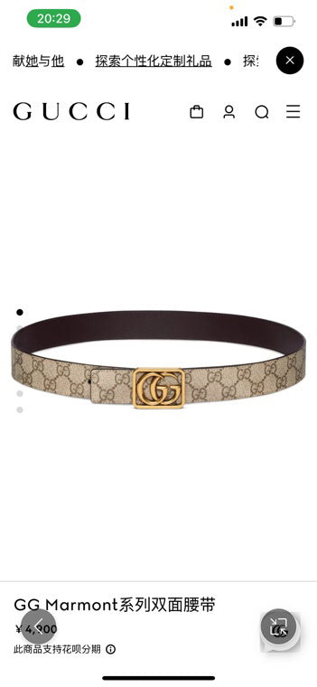 Dragons Bags Guccin Luxury Belt --108542