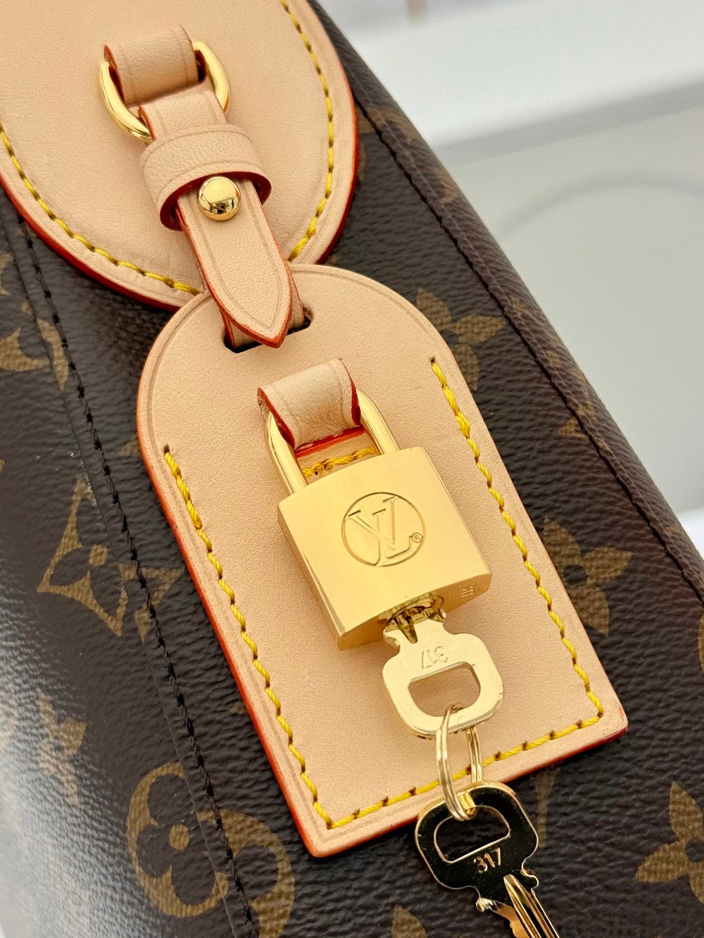 Dragons Bags ln Luxury Bag --81811