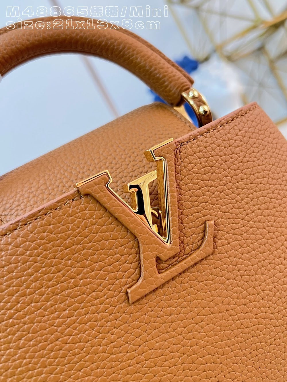 Dragons Bags ln Luxury Bag --95848