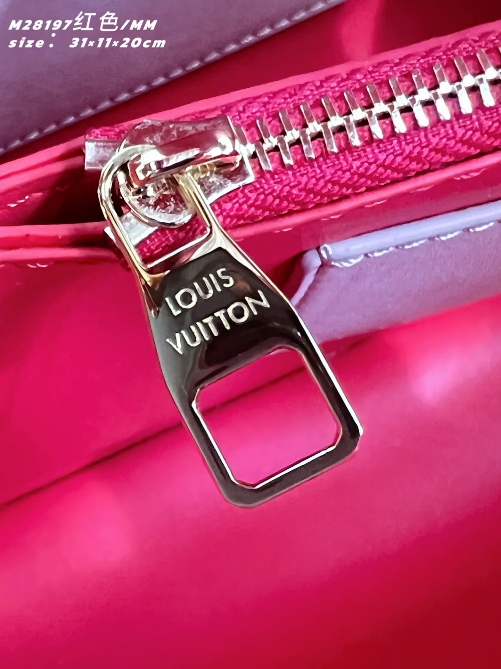 Dragons Bags ln Luxury Bag --96623