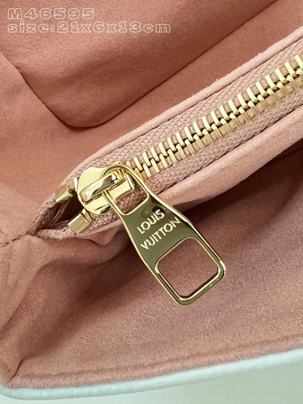 Dragons Bags ln Luxury Bag --96106