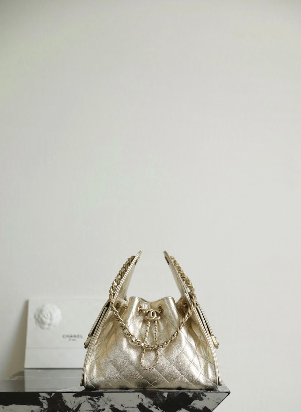 Dragons BagsCHn Luxury Bag --113654