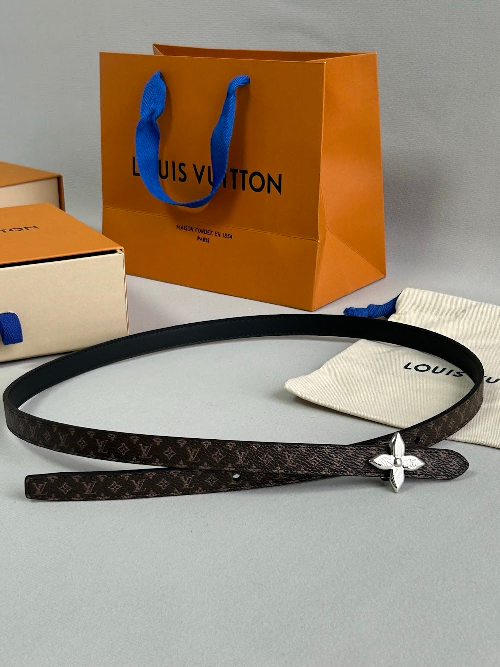 Dragons Bags ln Luxury Belt --110034