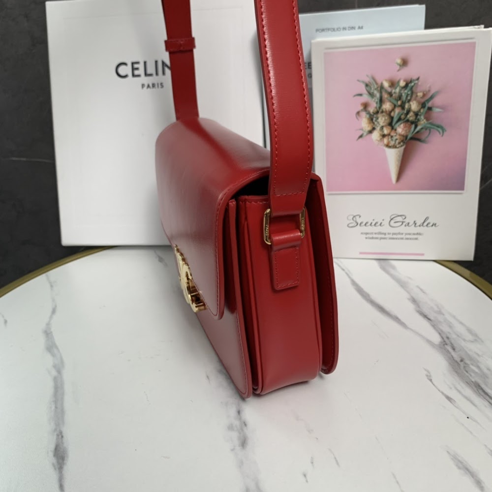 Dragons Bags Celine Luxury Bag --111992