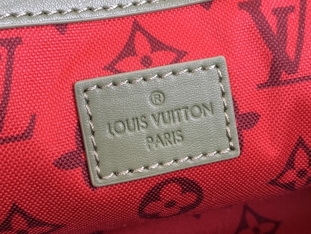 Dragons Bags LV Luxury Bag --55706