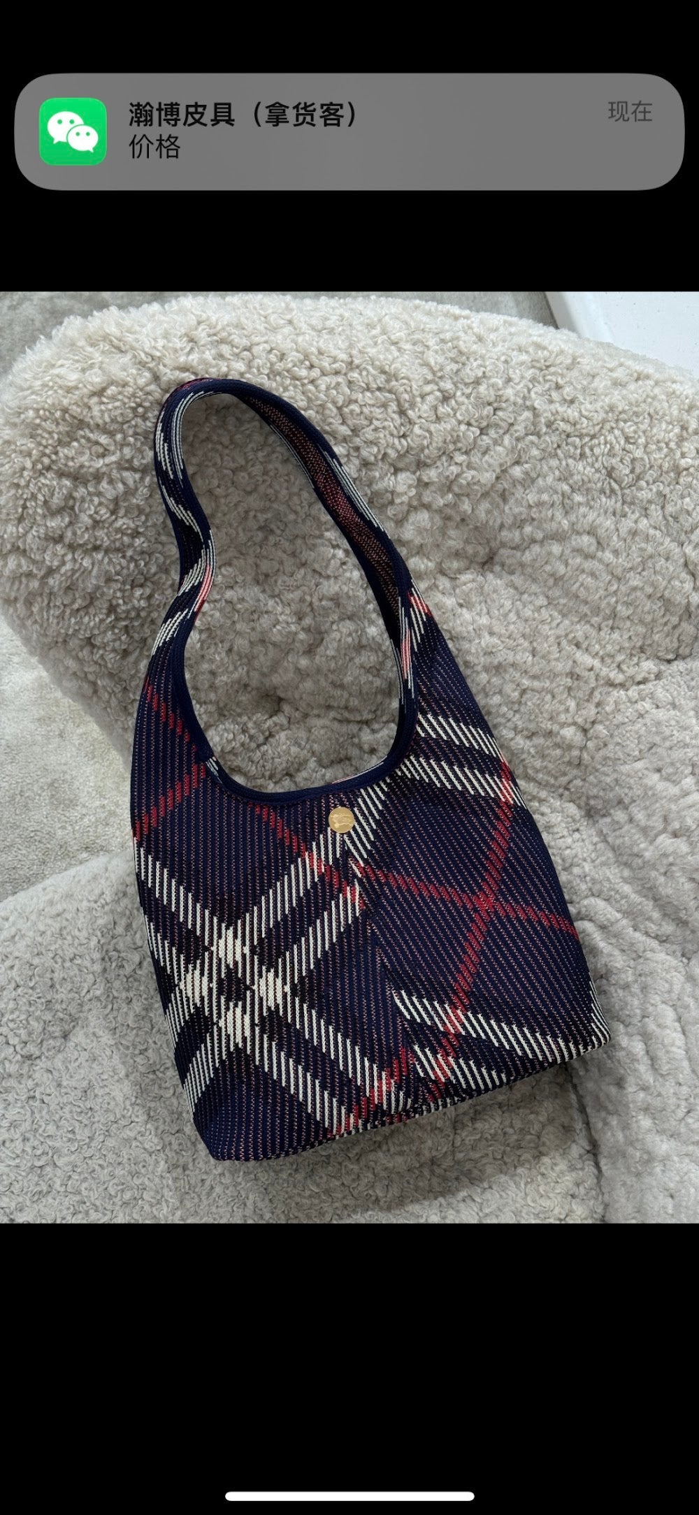 Dragons Bags Burberryn Luxury Bag --91767