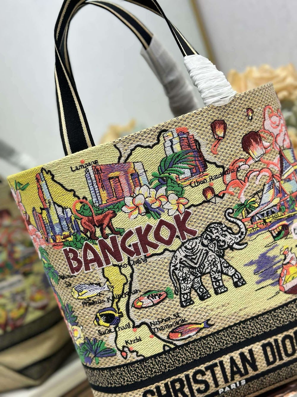 Dragons BagsDiorn Luxury Bag --115501