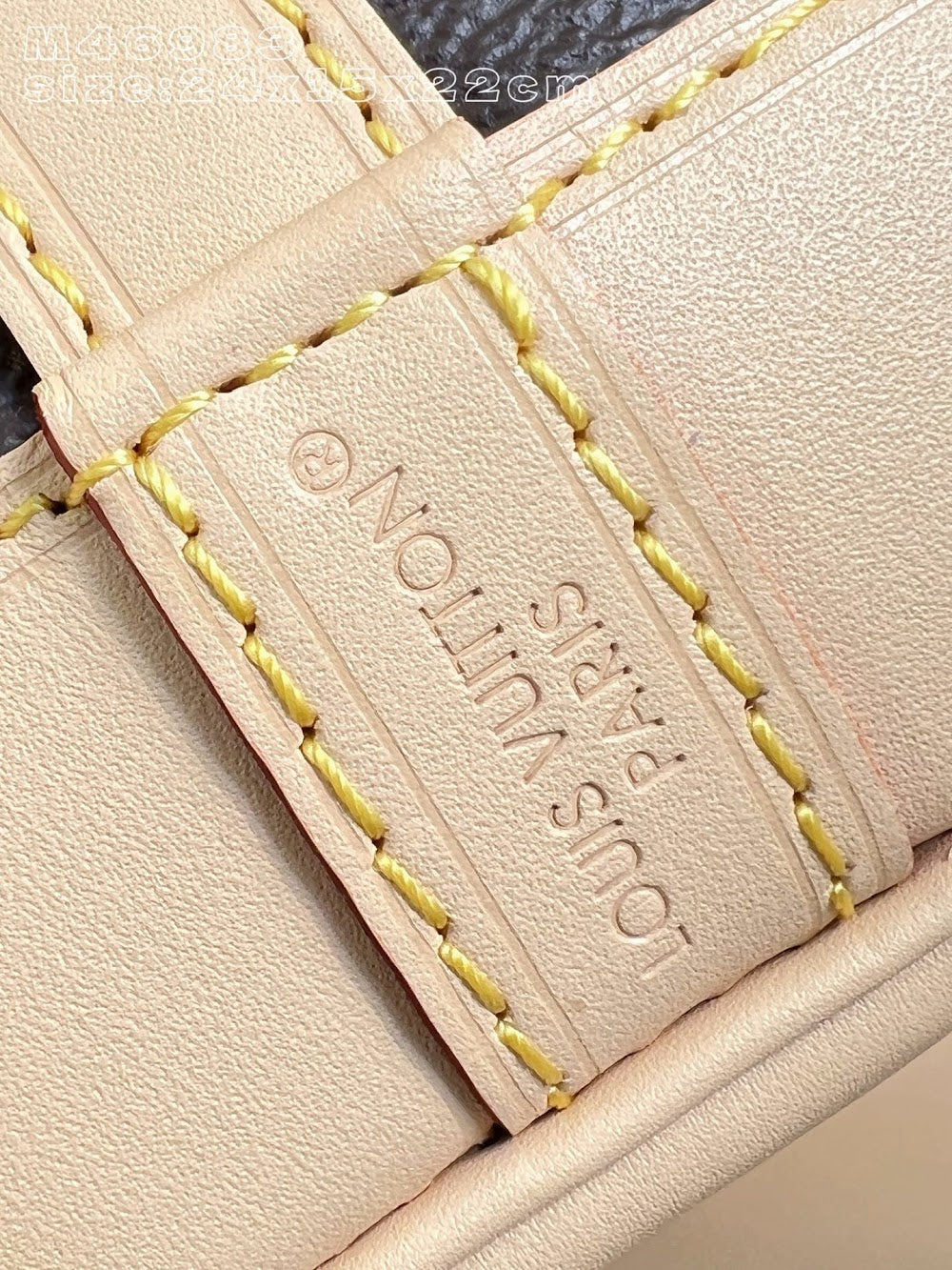 Dragons Bags ln Luxury Bag --95944